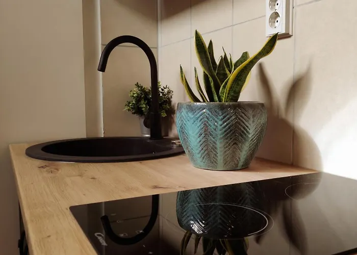 Apartamento With Sea View